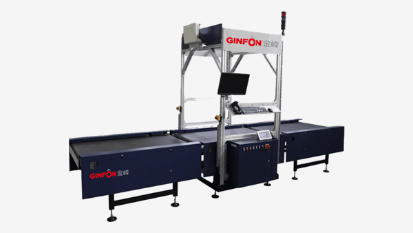 Dynamic automatic weighing, scanning and volume measuring machine
